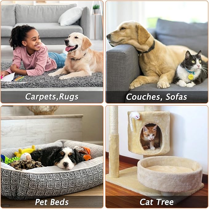 Eaersan Carpet Rake for Pet Hair Removal - Reusable Pet Hair Remover, 60” Adjustable Long Handle Cat Dog Carpet Rake Scraper, Dog Hair Rake Brush for Rugs, Mats, Couch