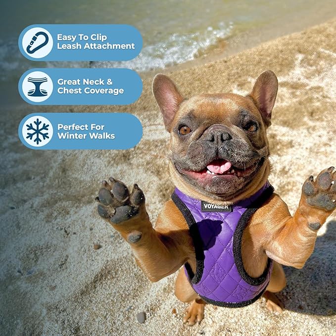 Best Pet Supplies - All Weather Plush, Reflective, No Pull Harness for Small, Medium Dogs, Cats - Secure with Hook & Loop Fastener, Buckle, Double D-Rings - Purple Faux Leather, XS