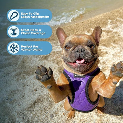 Best Pet Supplies - All Weather Plush, Reflective, No Pull Harness for Small, Medium Dogs, Cats - Secure with Hook & Loop Fastener, Buckle, Double D-Rings - Purple Faux Leather, XS