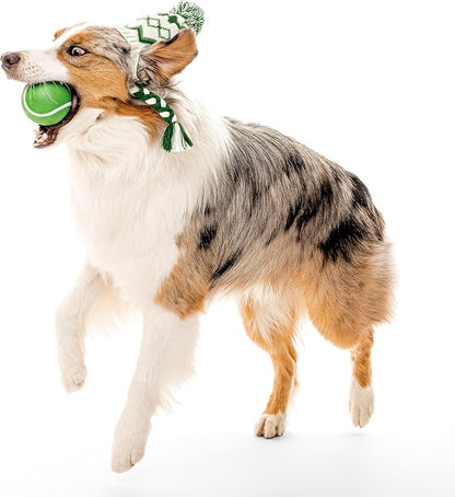 Playology Dog Toys | Squeaky Chew Ball - Bouncy Durable Floating Fetch Ball for Dogs | Jumbo Mom's Turkey Scented Toy - Easy to Clean and Made from Non Toxic Materials