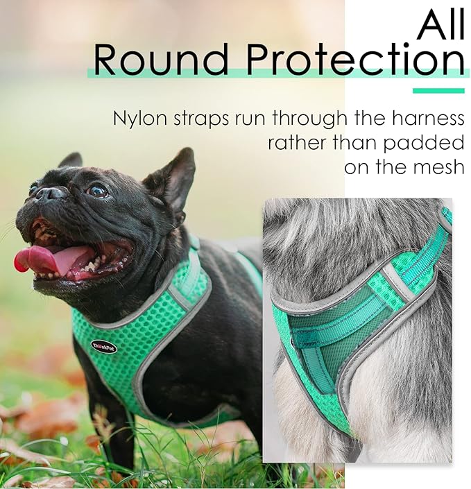 ThinkPet Reflective Breathable Soft Air Mesh No Pull Puppy Choke Free Over Head Vest Harness for Puppy Small Medium Dogs and Cats Teal Large