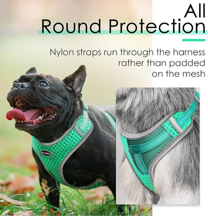 ThinkPet Reflective Breathable Soft Air Mesh No Pull Puppy Choke Free Over Head Vest Harness for Puppy Small Medium Dogs and Cats Teal Large