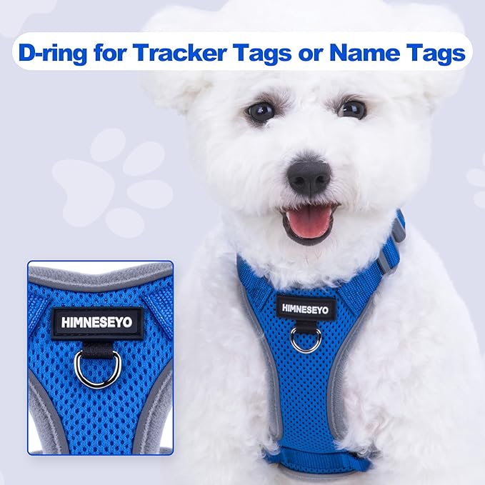Small Dog Harness and Leash Set, No Pull Adjustable Pet Harness for Small Dogs, Breathable Mesh Rflective Dog Vest Harness (Blue, XXS)