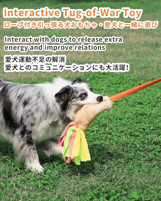 SCHITEC Dog Tug Toy, Bungee Tug of War Rope Toys with Squeaky Sound for Exercise & Interactive Play Games, Puppy Training Pull Toy for Small Medium Large Dogs