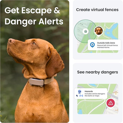 Tractive GPS Dog Tracker (2025 Release) Real-time Pet Location Tracker | Health & Wellness Alerts | Virtual Fence for Dogs | Bark Monitoring (Brown w/Olive Cover)