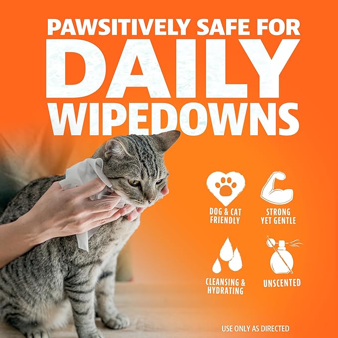 Angry Orange Unscented Pet Wipes - Hypoallergenic & Fragrance-Free With Aloe & Chamomile - Thick Grooming Wipes for Paws, Fur, Butt - Safe for Dogs & Cats, Gentle for Sensitive Skin - 80 Count, 1 Pack