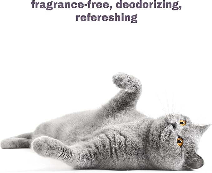 Mighty Meow Soothing Hypoallergenic Cat Shampoo – Easy at-Home Cat Grooming | Deodorizes | Gentle & Anti-Itch | Natural & Allergy-Safe Cat Shampoo Sensitive Skin – Fragrance Free | 9 fl oz