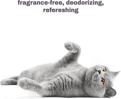 Mighty Meow Soothing Hypoallergenic Cat Shampoo – Easy at-Home Cat Grooming | Deodorizes | Gentle & Anti-Itch | Natural & Allergy-Safe Cat Shampoo Sensitive Skin – Fragrance Free | 9 fl oz