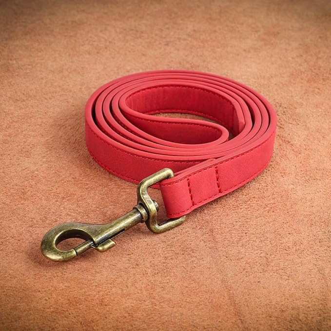 Didog PU Leather Dog Leash, Colorful Dog Leash 4ft, Strong and Durable Faux Leather Lead, Walking and Training Lead for Small Medium Dogs,Red