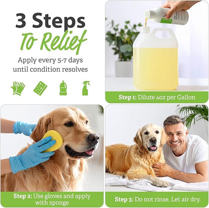 Vet Basics Lime Sulfur Dip – Skin Itch Relief Concentrated Antimicrobial & Antiparasitic Solution for Dogs, Cats, Puppies, Kittens & Horses, Helps Manage Ringworm, Mange, Skin Irritation, 16oz