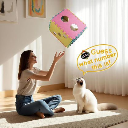 MOYMO Cat Houses for Indoor Cats, Cute Cat Bed Cave with Soft Pillow, Cat Cube for Multiple Large Cats, Fun Dice Shaped, 17 Inches