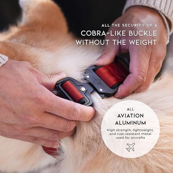 MADE TO ROAM Comfort Collar - Adjustable Nylon Dog Collar with Soft Comfortable Padding, Light Aviation Aluminum Metal Buckle for Small, Medium and Large Dogs (Michigan Autumn, Size 4)