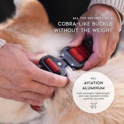 MADE TO ROAM Comfort Collar - Adjustable Nylon Dog Collar with Soft Comfortable Padding, Light Aviation Aluminum Metal Buckle for Small, Medium and Large Dogs (Vermont Weekend, Size 5)