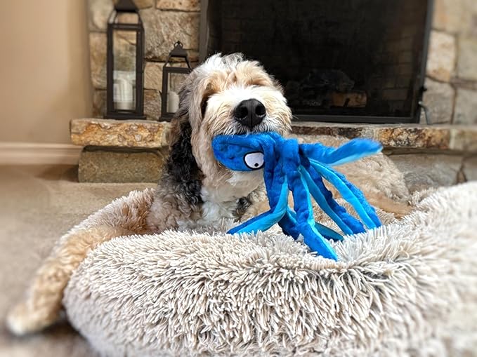 Octopus Dog Toy – Squeaky & Crinkle Plush – No Stuffing Toy for Small, Medium & Large Dogs – Interactive Pet-Safe Soft Toy for Tug, Fetch & Play – Blue– Tail Town