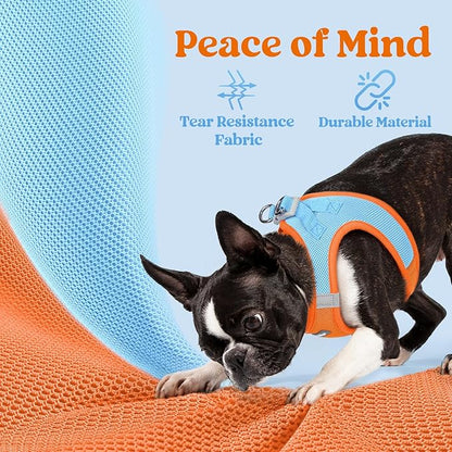 rabbitgoo Small Dog Harness, Step-in Soft Mesh Puppy Vest with Safety Buckle, Breathable Reflective Pet Harness for Small Medium Dogs, Blue & Orange XL