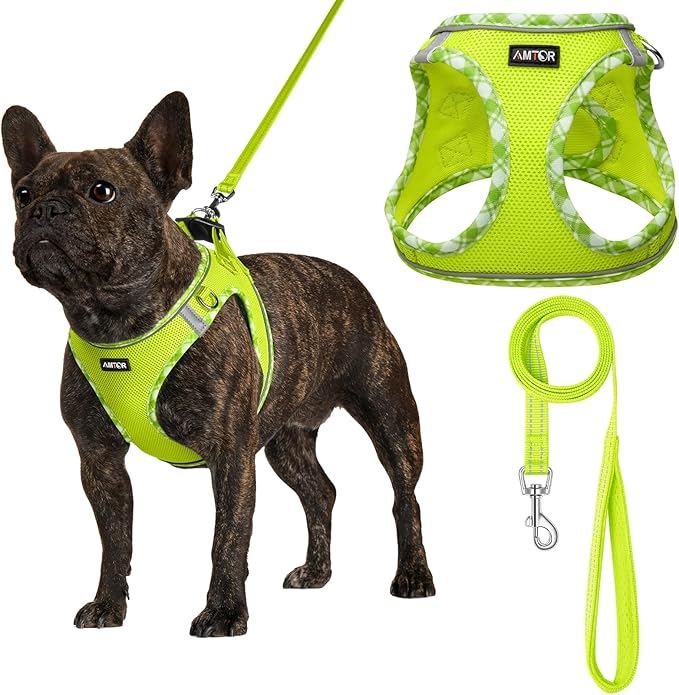 AMTOR Small Dog Harness with Leash Set, No Escape Easy Walk Puppy Harnesses for Training Walking, Step-in Reflective Soft Dogs Vest for XS S Medium Extra-Small Large Sized Dog(XS Size,Green/White)