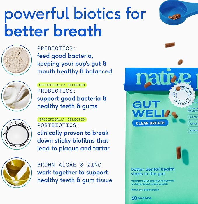 Native Pet GutWell Clean Breath - Dog Breath Freshener & Dog Dental Powder - Teeth Cleaning to Reduce Plaque & Tartar - Promotes Fresh Breath with Targeted Triple-biotic Dental Care Blend - 60 Scoops