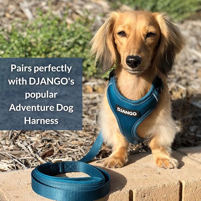 DJANGO Adventure Dog Leash – Strong, Comfortable, and Stylish Dog Leash with Solid Brass Hardware and Padded Handle - Designed for Outdoor Adventures and Everyday Use (Indigo Blue)