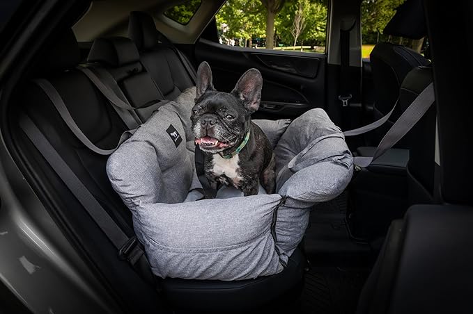 JACKO & CO - Premium Dog Car Seat v2 Booster Seat for Small & Medium Pets Under 40lbs - Machine Washable w Removable Covers, Water Resistant w Clip-On Leash for Back Seat Use (Grey Medium (25-40lbs)