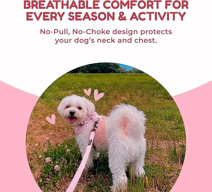 No-Pull, No-Choke Dog Harness & Leash Set – Stylish & Fun – Lightweight, Breathable Neoprene – Unique Heart Pattern – Adjustable for Extra Small Dogs (Harness Leash Set-Pink, X-Small)