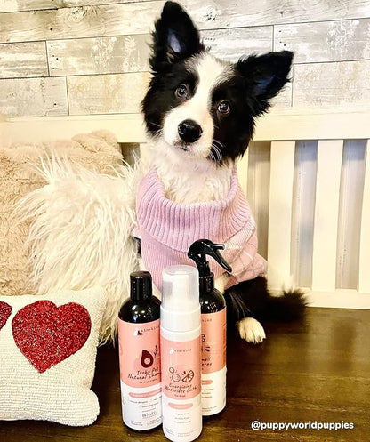 kin+kind Organic Dog Shampoo Itchy Skin Relief – Natural Dog Shampoo for Dry, Sensitive Skin – Moisturizing Formula with Coconut Oil, Olive Oil & Avocado Oil – Grooming Supplies – Made in USA 12 fl oz