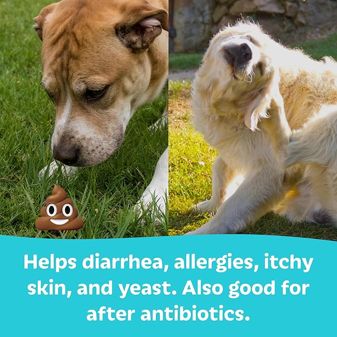 Tails ’N’ Tummies Probiotics for Dogs: 60 Tiny Tablets for Allergies, Itchy Skin, Diarrhea & Digestive Relief – Gentle, Clean Formula for Dogs