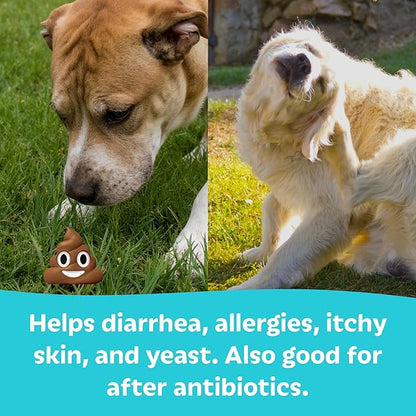 Tails ’N’ Tummies Probiotics for Dogs: 60 Tiny Tablets for Allergies, Itchy Skin, Diarrhea & Digestive Relief – Gentle, Clean Formula for Dogs