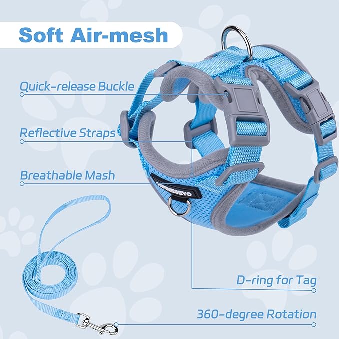 Small Dog Harness and Leash Set, No Pull Adjustable Pet Harness for Small Dogs, Breathable Mesh Rflective Dog Vest Harness (Light Blue, M)