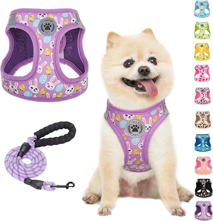 BEAUTYZOO Small Dog Harness and Leash Set,Step in No Choke No Pull Soft Mesh Dog Harnesses Reflective for Extra-Small/Small Medium Puppy Dogs and Cats,Colorful XS