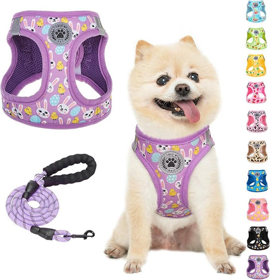 BEAUTYZOO Small Dog Harness and Leash Set,Step in No Choke No Pull Soft Mesh Dog Harnesses Reflective for Extra-Small/Small Medium Puppy Dogs and Cats,Colorful XS