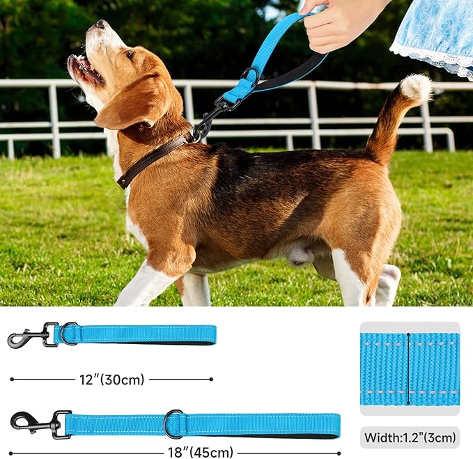 Dog Leash, Short Dog Leash, Leashes for Large Breed Dogs,Traffic Padded Handle- Reflective Training Lead, Perfect for Medium to Large Dogs(12 Inch, Blue)