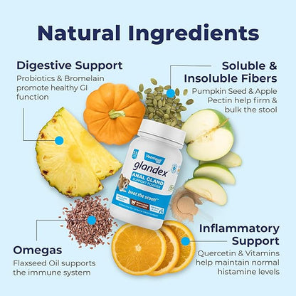 Glandex Dog Fiber Supplement Powder for Anal Glands with Pumpkin, Digestive Enzymes & Probiotics - Vet Recommended (Regular or Advanced Strength) - Boot The Scoot (2.5 oz, Pork Liver)