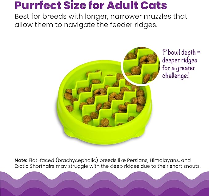 Catstages Kitty Slow Feeder Bowl for Cats & Small Dogs, Puzzle Dish for Fast Eaters, for Wet or Dry Food, Helps Slow Eating & Aid Digestion, Non-Slip, Made Without BPA, 3/4 Cup, 5-Inch, Green