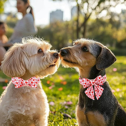 Valentines Dog Collar with Bow - Cute Red Pink Hearts Valentine Bowtie Dog Collars, Adjustable Metal Buckle Male Female Dogs Collar for Small Medium Large Dogs S