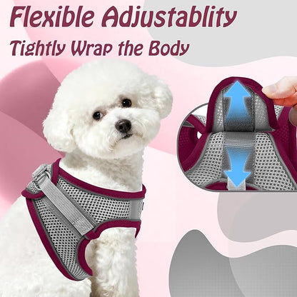AIITLE Comfortable Dog Harness and Leash Set for Walking - Christmas Step in Vest Harness,Reflective Bands, Adjustable No Pull Puppy Essentials, for Small Dogs and House Cats Burgundy XS