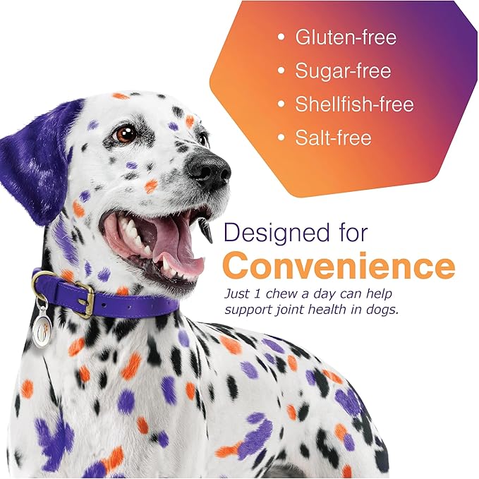 MOVOFLEX Soft Chews Hip and Joint Support Supplement for Dogs for Medium Dogs - 60 Count by Virbac