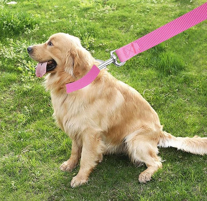 TAIAN 5 FT Strong Dog Leash, Nylon Dog Leashes for Small Medium Large Dogs Pink