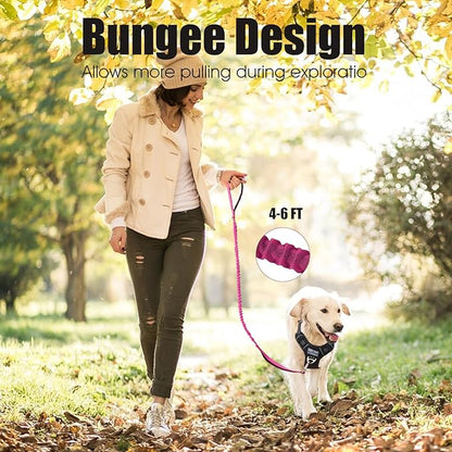 BUMBIN 6Ft Dog Leash Large Dogs, Bungee Dog Leash with 2 Handles, Heavy Duty Leashes for Medium Small Dogs, No Pull Shock Absorbing，with Car Seat Belt for Training, Pink