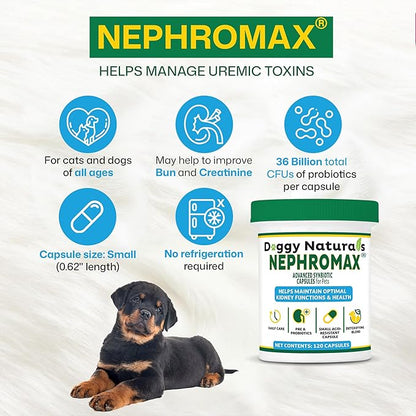 NEPHROMAX™ Kidney Support Supplement Synbiotic (360 Caps)