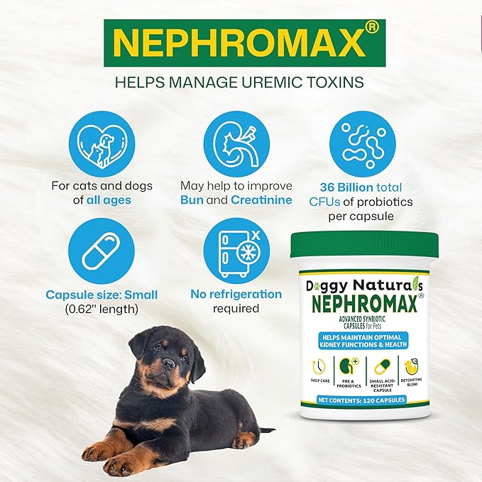 NEPHROMAX™ Kidney Support Supplement Synbiotic (360 Caps)