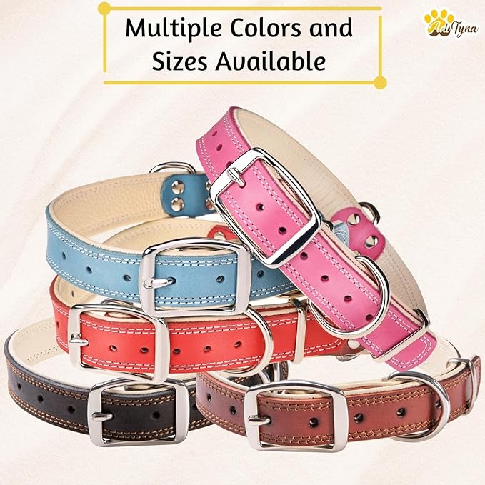 ADITYNA Heavy-Duty Big Leather Dog Collar for Extra-Large Dogs - Soft Padded for Comfort - XL Dog Collar for Walking, Training, and Hiking