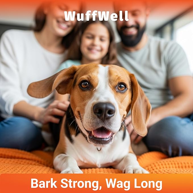 WuffWell Hip and Joint Supplement for Dogs – Natural Ingredients with Chondroitin, MSM, Turmeric, and Glucosamine – Supports Hip Dysplasia, Arthritis, and Mobility – 140 Count, Made in USA
