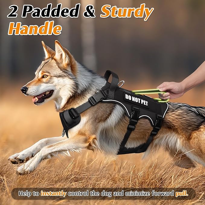 WINSEE Escape Proof Dog Harness, Service Working Molle Harness with Double Handle, Tactical Pet Vest with 4 Patches for Small Medium Large Dogs Walking Hiking Hunting