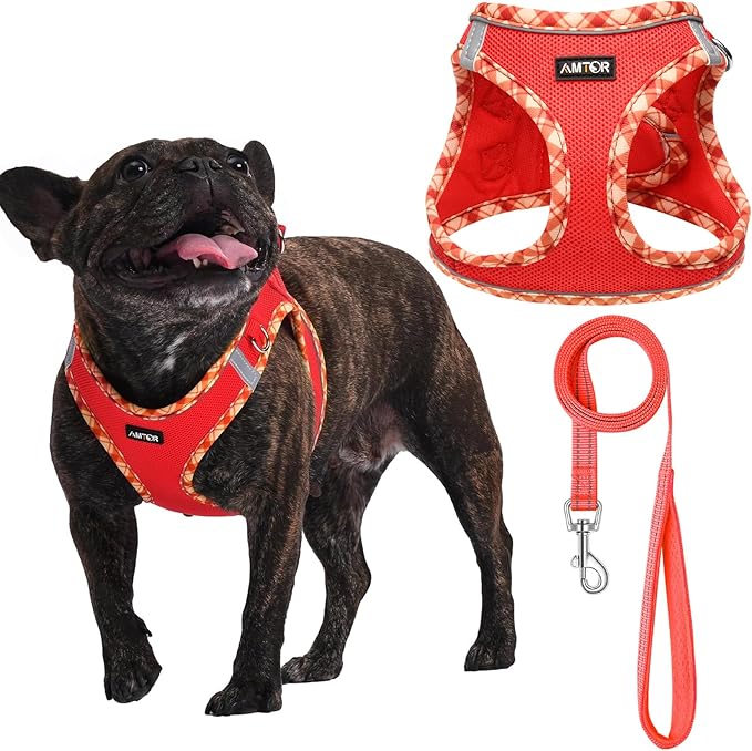 AMTOR Small Dog Harness with Leash Set, No Escape Easy Walk Puppy Harnesses for Training Walking, Step-in Reflective Soft Dogs Vest for XS S Medium Extra-Small Large Sized Dog(Red,XXS)