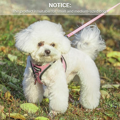 Dog Harness and Leash Set, Dog Harness for Dogs No Pull, No-Chock Step-in Reflective Breathable Lightweight Easy Walk Vest Harnesses with Safety Buckle for Small Medium Dogs, Cats (Pink, XXS)