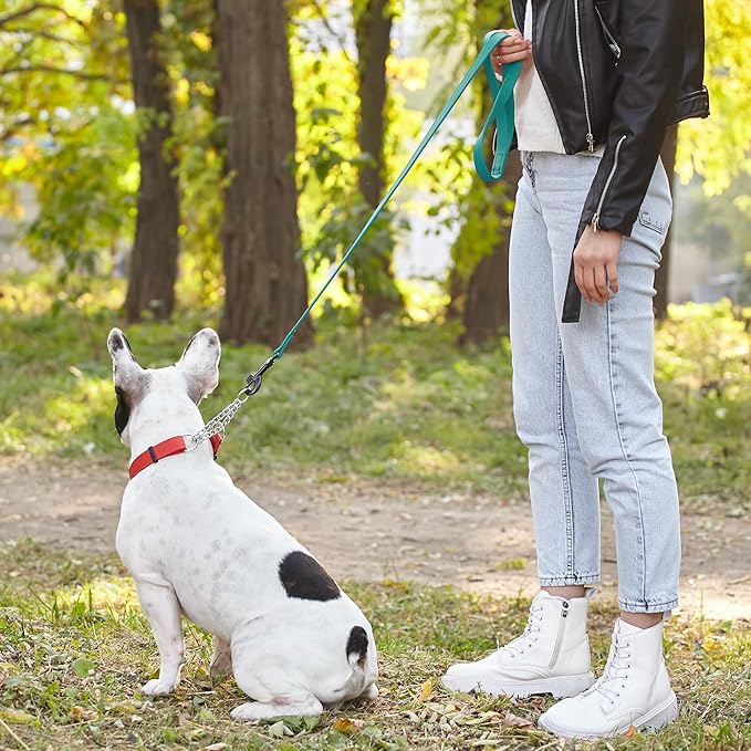 Dogline Biothane Waterproof Dog Leash Strong Coated Nylon Webbing with Black Hardware Odor-Proof Easy to Clean High Performance for Small or Large Dogs Made in USA 4 or 6 ft Lead, Blue Aqua
