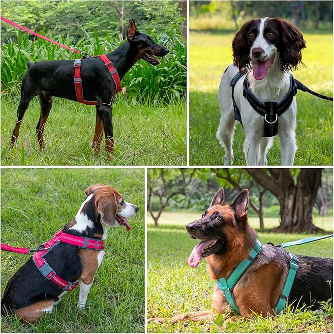 Plutus Pet No Pull Dog Harness, Adjustable Nylon Harness with Soft Padding, Reflective and Heavy Duty Dog Harness for Small, Medium, Large Dogs(Hot Pink, L)