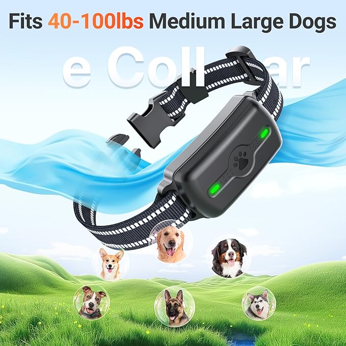 Dog Training Collar, Dog Shock Collar with Remote Control, Electric Shock Collar with 4 Training Modes, IP68 Waterproof Rechargeable e Collar for Large Medium Dogs with Beep Shock and Security Lock