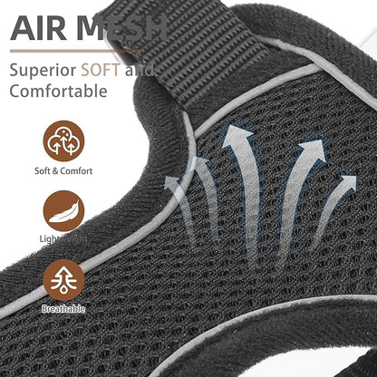PUPTECK Small Dog Harness and Leash Set, No Pull Adjustable Puppy Cat Harness, Reflective Soft Mesh Pet Vest Small Sized, Black, XS