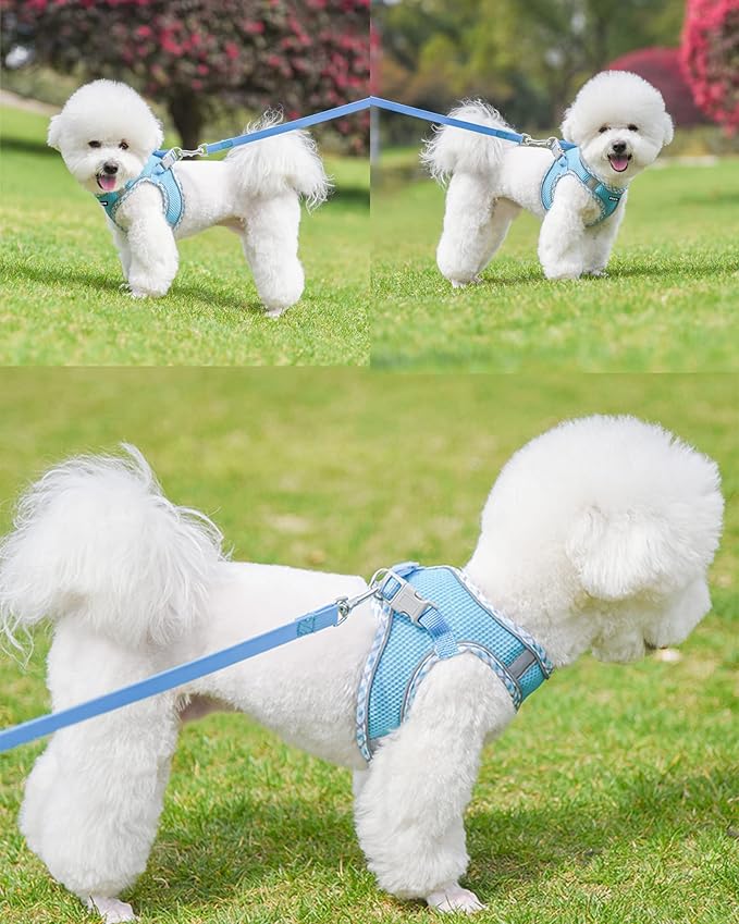 Petank Dog Harness for Small Medium Dogs No Pull, Puppy Harness and Leash Set, Step in Dog Harness for Walking, Running, Training, Small Dog Vest, Medium Dog Vest (Bule, L)
